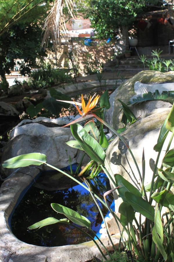 Schuilhoek Garden Terraces - Self Catering Cape Town Exterior photo